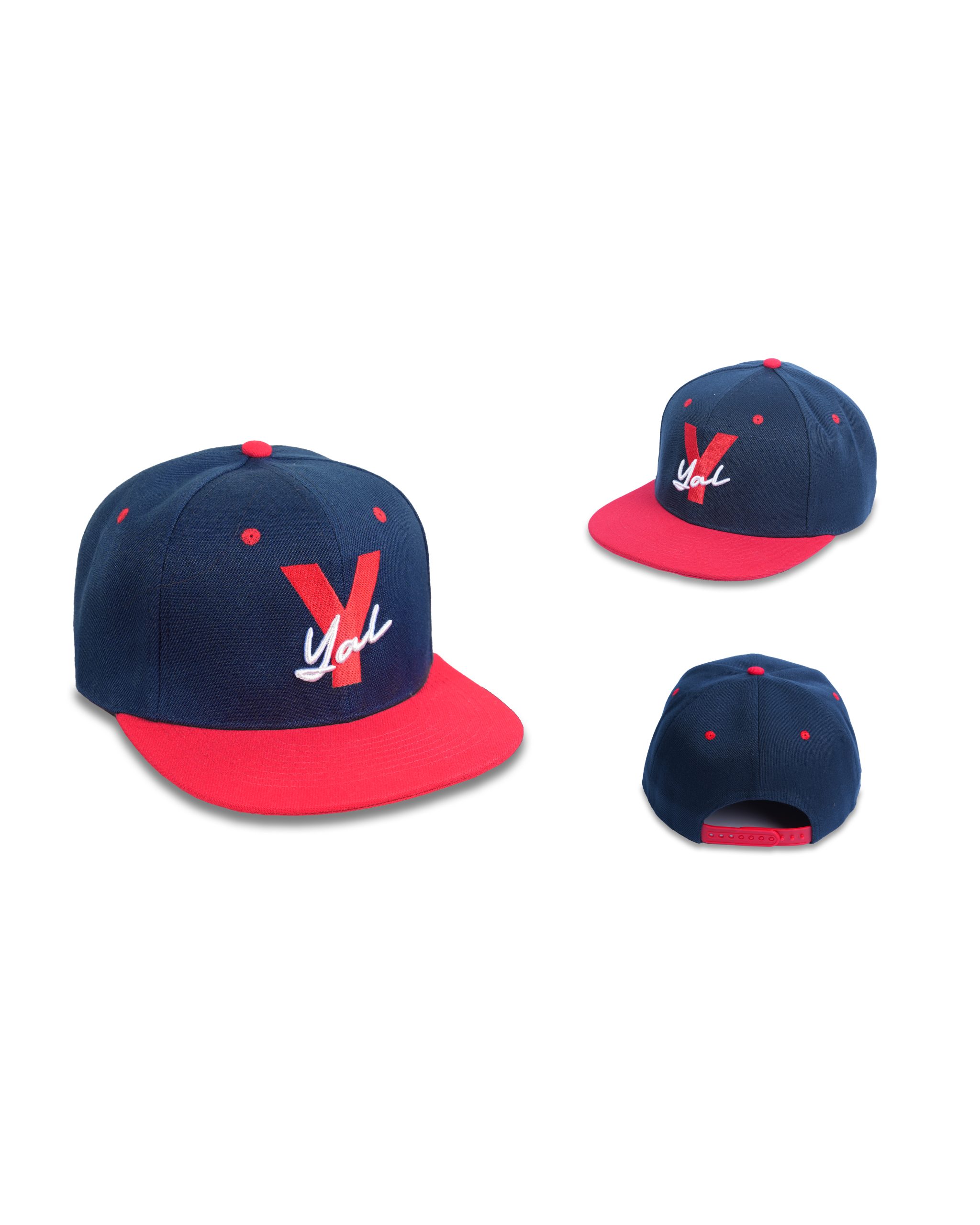 YAL_Cap-3-scaled-1.jpg