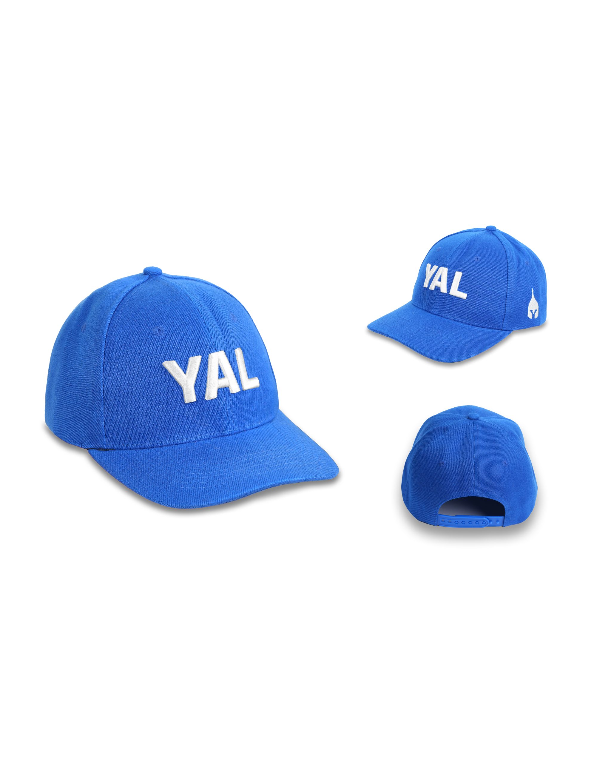 YAL_Cap-6-scaled-1.jpg